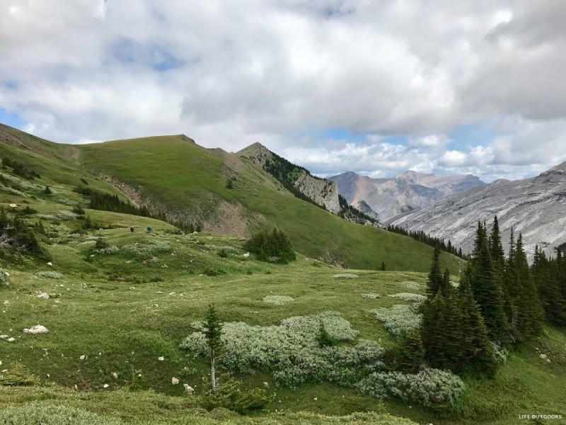 Alpine meadows and view from Exshaw Pass.